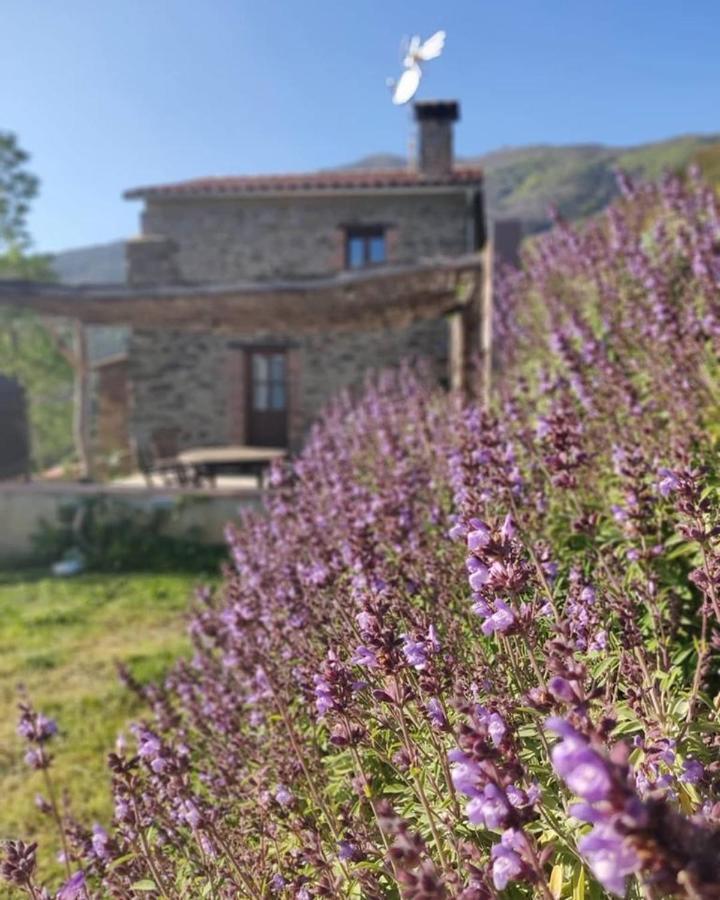 Can Rovira De Fogars Villa Montseny Eksteriør bilde